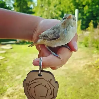 Бунгала Гнездото Bungalows The Nest 1