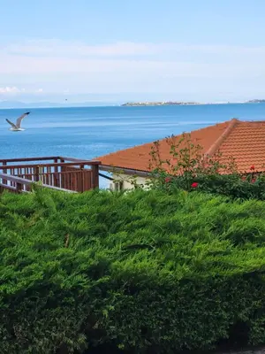 a bird flying over the ocean next to a fence at Garden of Eden studio in Sveti Vlas