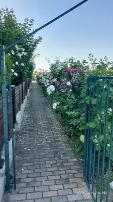 a brick path with flowers and a green fence at Апартамент Феличита in Byala