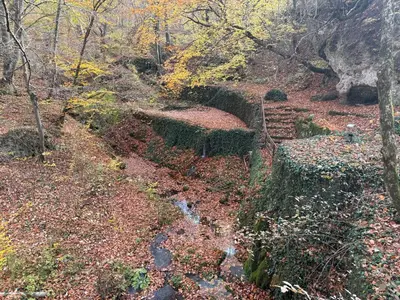 a trail in a wooded area with a stream at Apartment With 2 Bedrooms - Magic Woods