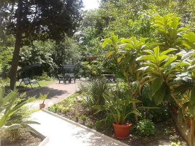 a garden with benches and plants and trees at Family нouse -Нotel Asai in Ravda
