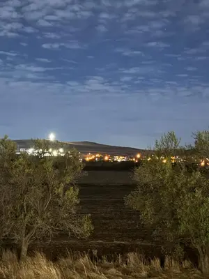 a view of a field with trees and lights at Sunny day 5 in Tŭnkovo