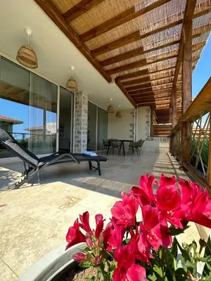 a patio with red flowers in a pot at Lozenets Luxury Pool Villa by Lozenetsvillas in Lozenets