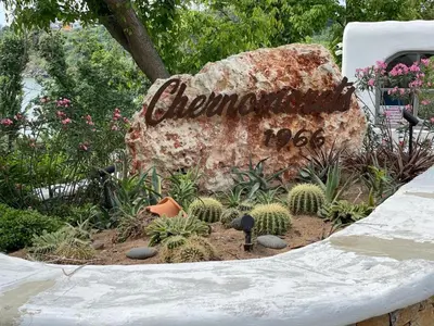 a garden with cacti and a large rock at Valena Royal apartment in Chernomorets
