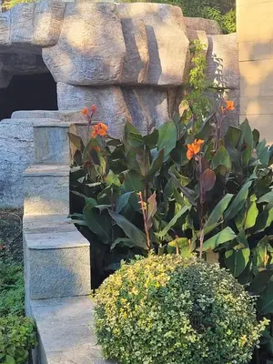 a garden with orange flowers and a stone wall at Garden of Eden- MintGarden- Sveti Vlas 1 in Sveti Vlas