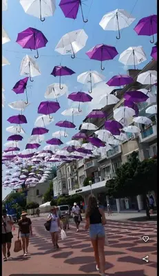 a bunch of purple and white umbrellas in the air at Bit of sea in Varna City