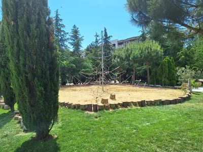 a park with a tree in the middle of a field at 3 Room Apartment with Poolview in Cascadas Resort in Sunny Beach