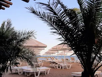 a beach with white chairs and umbrellas and a palm tree at Atlantis 8016 in Burgas City