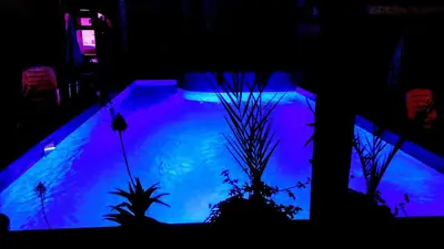 a pool of blue water with some plants in it at Family Hotel Ludo in Varna City