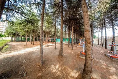 a group of trees in a park next to a street at Crown Fort Club in Sveti Vlas
