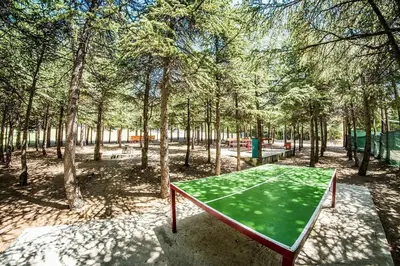 a green ping pong table in a park with trees at Crown Fort Club in Sveti Vlas