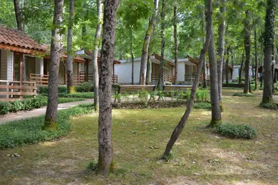 a row of cottages in a forest of trees at Villas Holidays in Primorsko