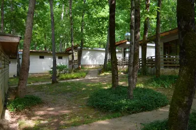 a house in the woods with a lot of trees at Villas Holidays in Primorsko