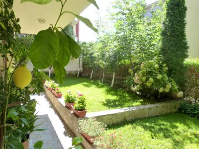 a garden with plants and flowers in a yard at Hotel Beroe in Sveti Vlas