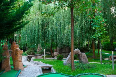 a garden with a tree and rocks and trees at Rainbow 2 Holiday Complex in Sunny Beach