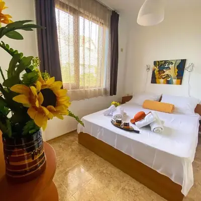 Apartments Yana