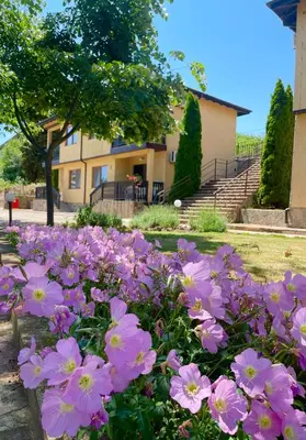 a bunch of pink flowers in front of a house at Complex Terazini in Byala