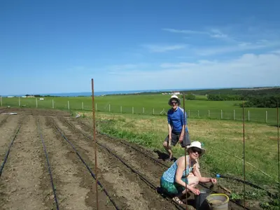 two people standing next to a fence in a field at Vis Velika in Velika