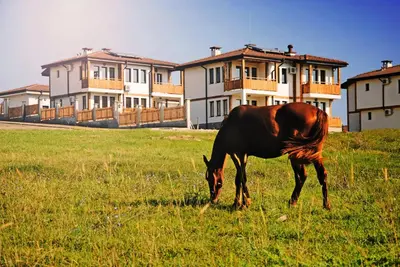 a horse grazing in a field in front of houses at Vis Velika in Velika