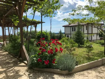 a garden with red flowers in front of a house at Vis Velika in Velika