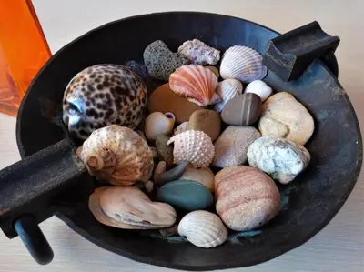 a bowl filled with shells and other rocks at Flat Lora Pomorie in Pomorie