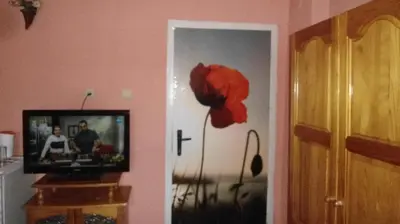 a television in a room with a flower on the wall at Sadala Guest House in Nesebar