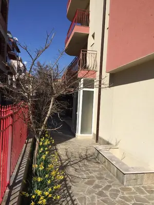 a tree next to a building with a red fence at Jane Guest House in Nesebar
