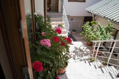 a bunch of flowers on the stairs of a building at Guest House Byki in Sveti Vlas