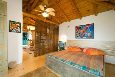a bedroom with a bed and a ceiling fan at Art Provence House in Lozenets