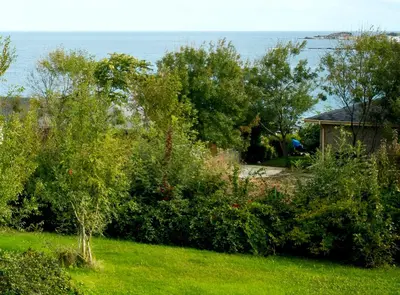 a view of a garden with the ocean in the background at Art Provence House in Lozenets