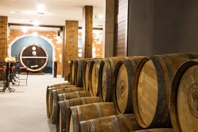 a row of wine barrels in a wine cellar at Festa Via Pontica in Pomorie