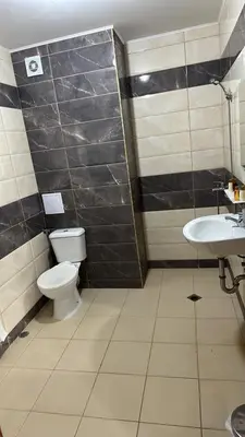 a bathroom with a toilet and a sink at Lozenets View Hotel in Lozenets
