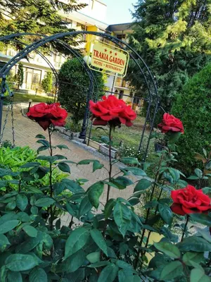 a group of red roses in a garden at Hotel Trakia Garden in Sunny Beach