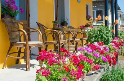 a group of chairs and flowers on a patio at Morski Rai Rooms in Byala
