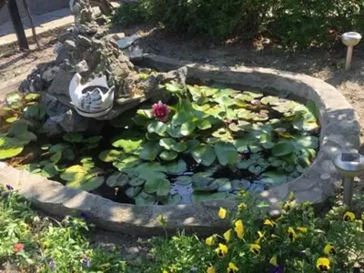 a garden with a pond with flowers and a statue at Morski Rai Rooms in Byala