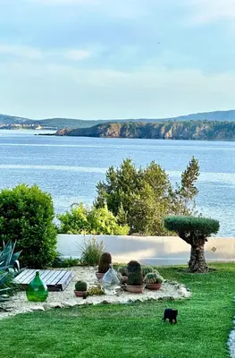 a black cat standing in the grass near a body of water at Casa de oro Alma in Sozopol