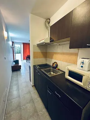 a kitchen with a sink and a microwave at Stella Udacha Apartments & Studios in Sunny Beach