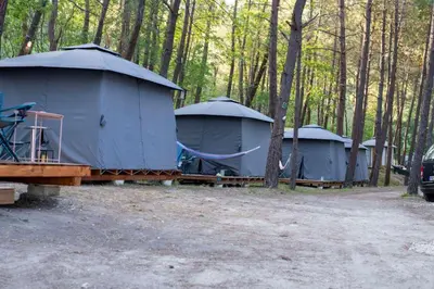 a row of blue tents in the woods at Ecoclub in Varna City