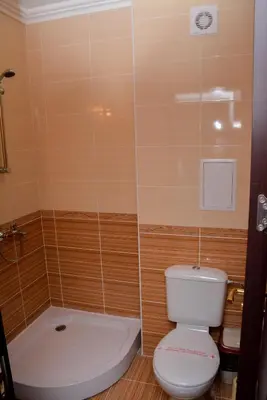 a small bathroom with a toilet and a shower at OLYMP Apart-Complex in Sveti Vlas