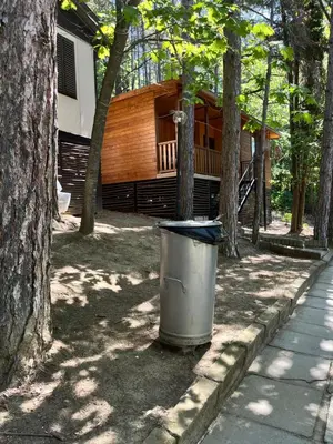 a trash can sitting next to a tree at к-г Луна к-с Лонгоза комплекс Лонгоза in Byala