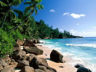 a beach with rocks and palm trees and the ocean at Galata in Varna City