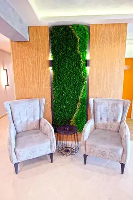 two chairs in a room with a green wall at Paradise Hotel & Relax Center in Pomorie