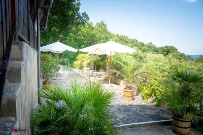 a patio with umbrellas and potted plants at Arkutino Family Resort in Sozopol