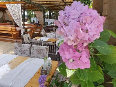 a table with pink flowers on top of it at Sea Horse in Burgas City