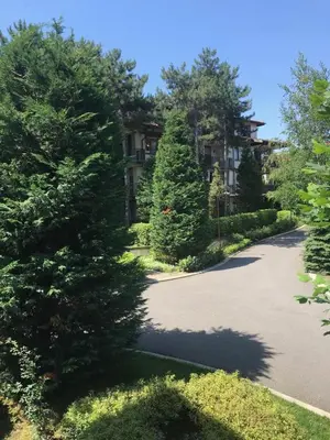a driveway in front of a building with trees at Santa Marina Apartment 513 in Sozopol