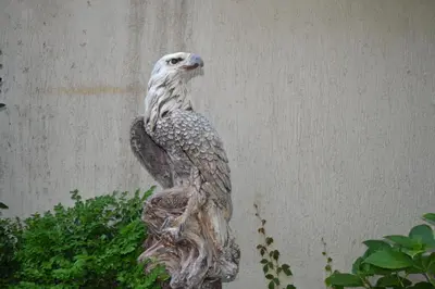 a statue of an eagle sitting on a tree stump at More Family Hotel in Sozopol