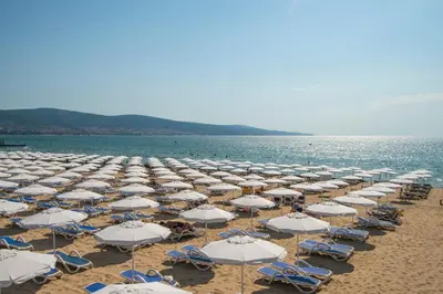 a large group of umbrellas and chairs on a beach at Melia Sunny Beach All Inclusive in Sunny Beach