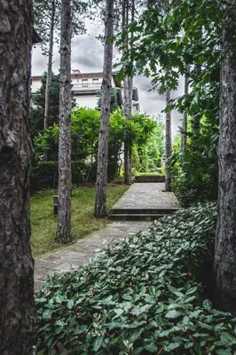 a path through a park with trees and a building at Santa Marina Holiday Village in Sozopol