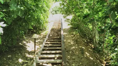 a set of wooden steps in the middle of a forest at Alex Beach Apartment in Sveti Vlas