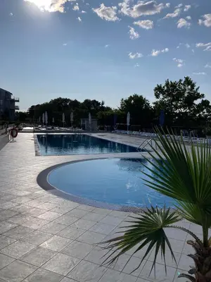 a large swimming pool with a palm tree in the foreground at Apolon Complex in Sozopol